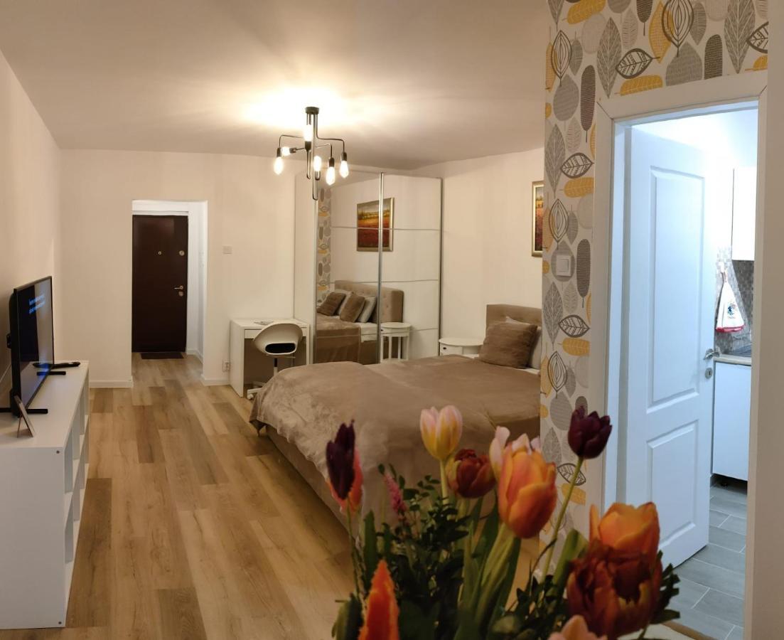 Studio Lotus Bucureşti Ngoại thất bức ảnh